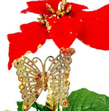 Arranjo de Natal Gold | Dourado & Vermelho - 32X24cm - MarketFlor